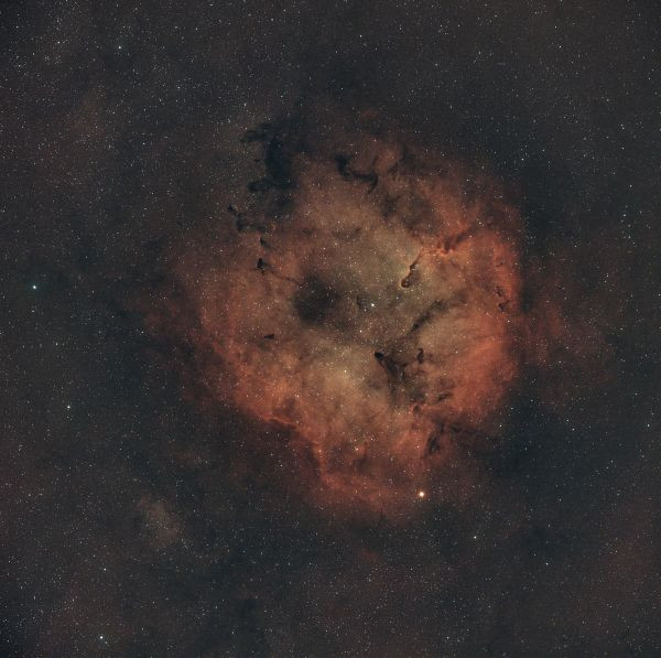IC1396 