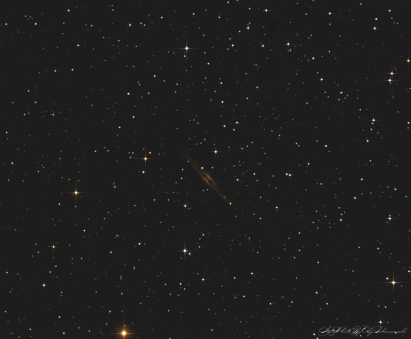 Galaxy NGC 891  - астрофотография