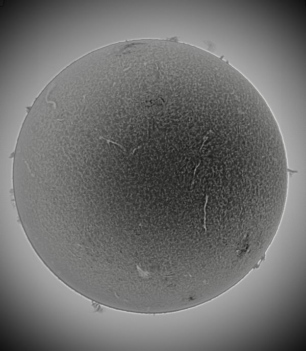 The Sun 07-04-23 invert - астрофотография