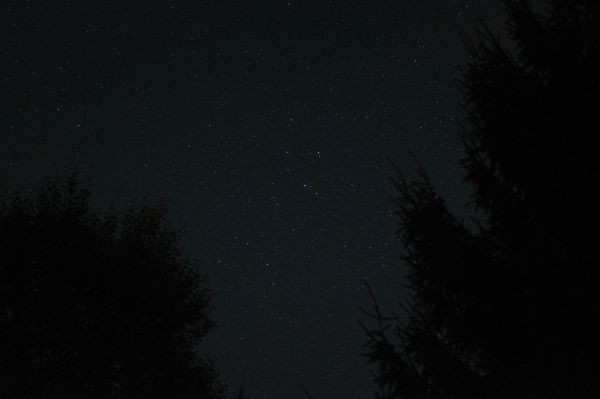 constellation Delphinus - Astrophotography