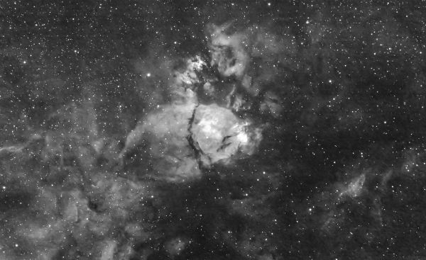 IC-1795. Туманность Голова рыбы - астрофотография
