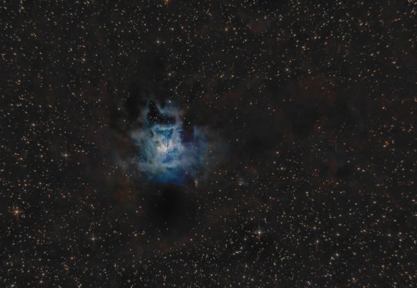 NGC 7023 - Iris nebula - астрофотография