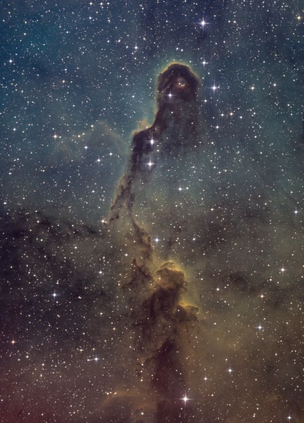 IC 1396, Elephant's Trunk nebula - астрофотография