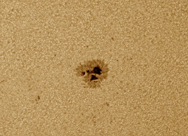 Солнечное пятно 2121 - астрофотография