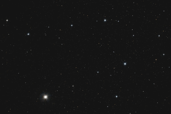 Asterism of the Goose - Astrophotography