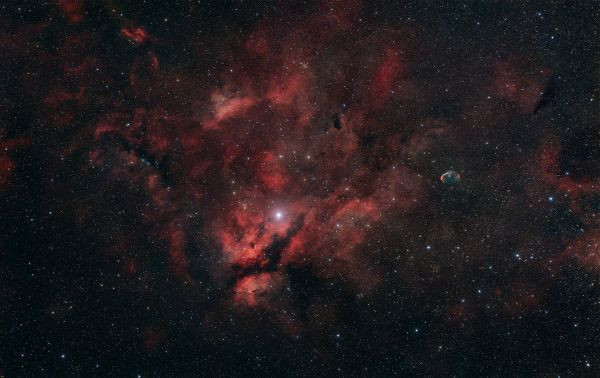 IC1318 - The Region Around the Star Sadr - Astrophotography