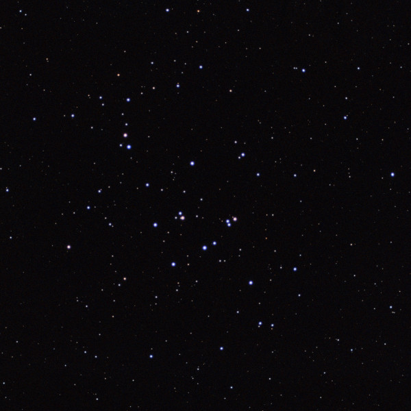 The Beehive Cluster (M44) - Astrophotography