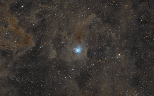 NGC 7023 - Iris Nebula - Astrophotography