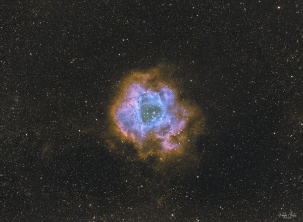 NGC 2237 Rosette nebula SHO faked from dual narrowband filter - астрофотография