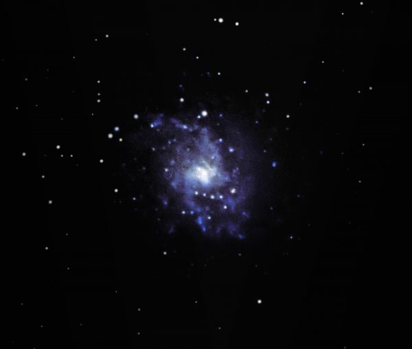 Галактика Треугольника M 33, NGC 598 - астрофотография