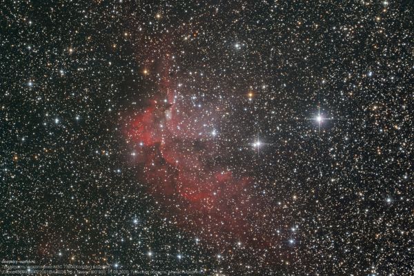 The nebula and cluster NGC 7380 (Wizard) in Cepheus - Astrophotography