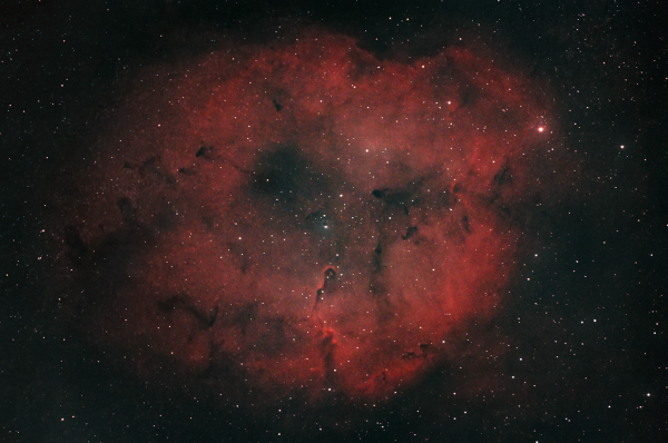 Комплекс эмиссионных водородных туманностей  IC 1396 "Хобот Слона" - астрофотография