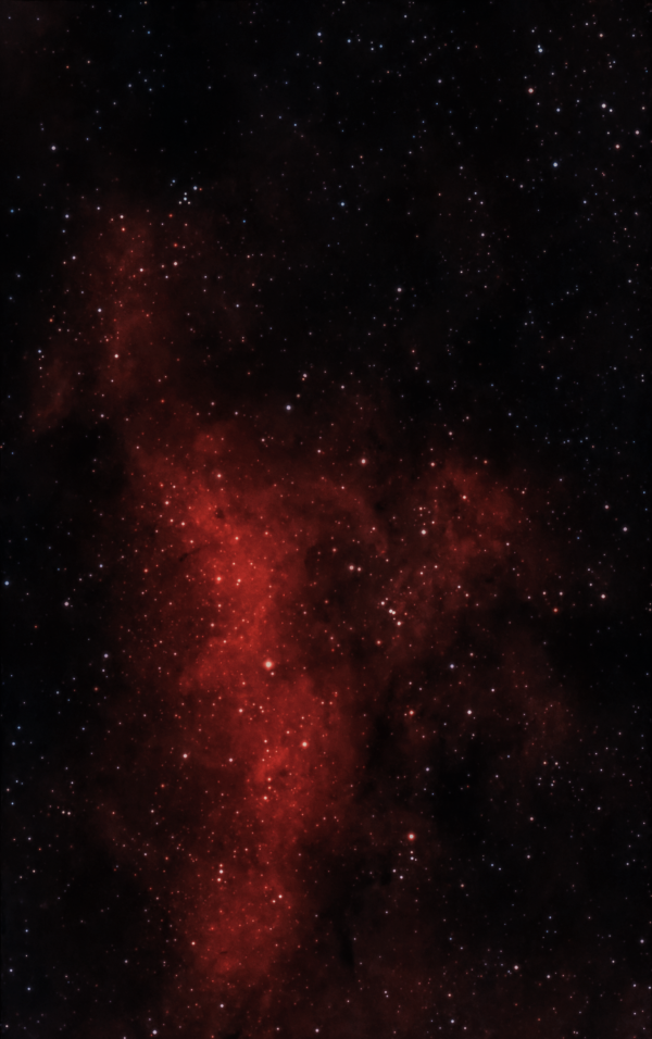 The IC 1318A nebula in the constellation Cygnus - Astrophotography