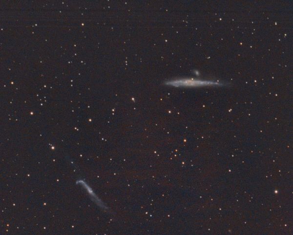 NGC4631 - астрофотография