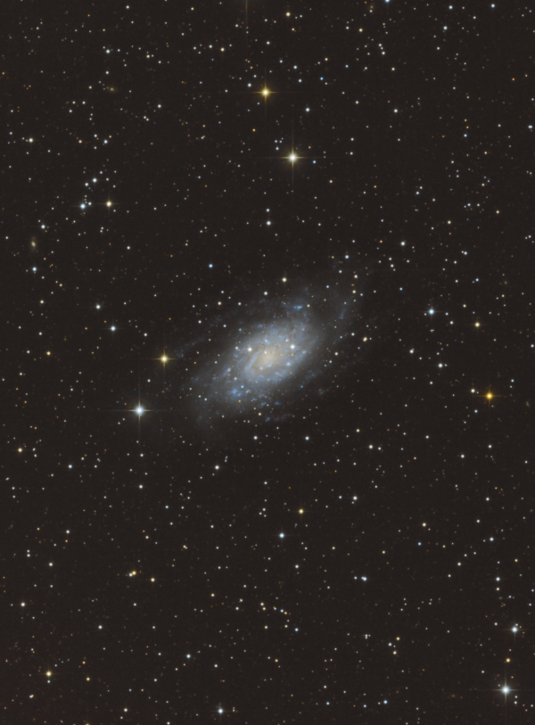 NGC 2403 - астрофотография