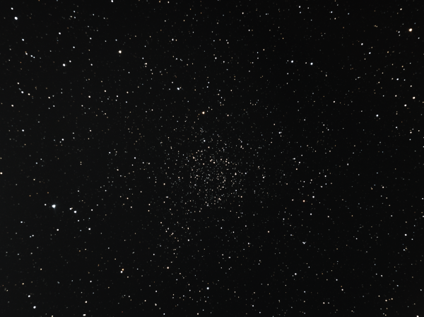 Рассеянное скопление Роза Каролины (NGC 7789) - астрофотография