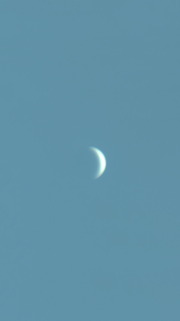 Venus