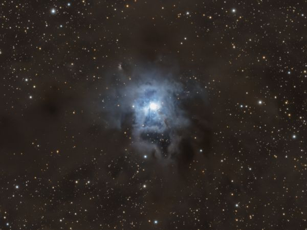 Caldwell 4 - Astrophotography
