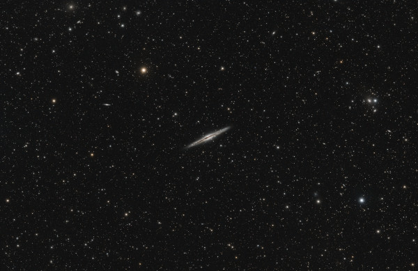 NGC 891 (Silver Sliver Galaxy) - Astrophotography