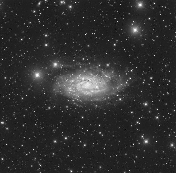 NGC 2403 - Astrophotography