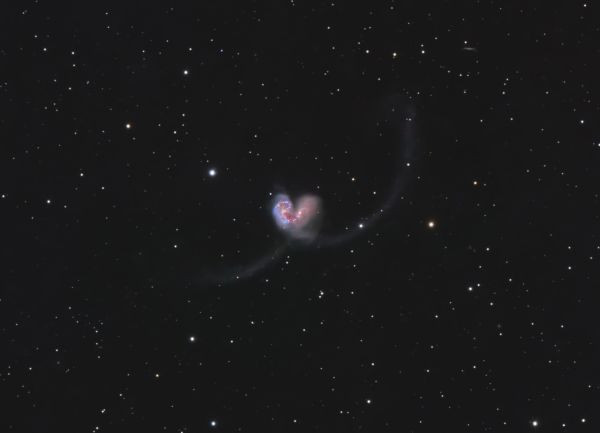 NGC 4038 NGC 4039 Antennae Galaxies - Astrophotography