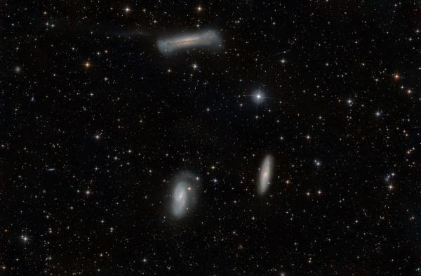 Leo Triplet - Astrophotography