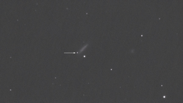 Supernova 2026fvx in NGC4205 - Astrophotography