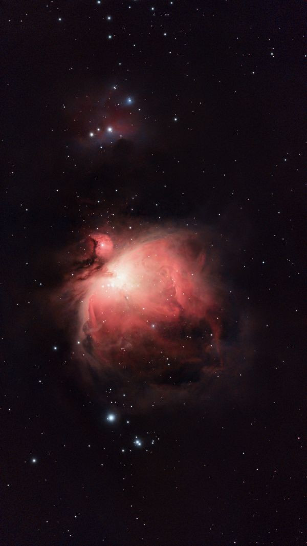 M42 - Orion Nebula - Astrophotography