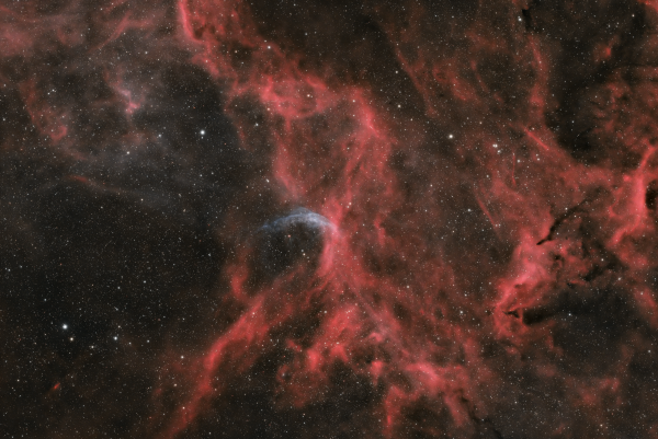 WOLF-RAYET 134 - астрофотография