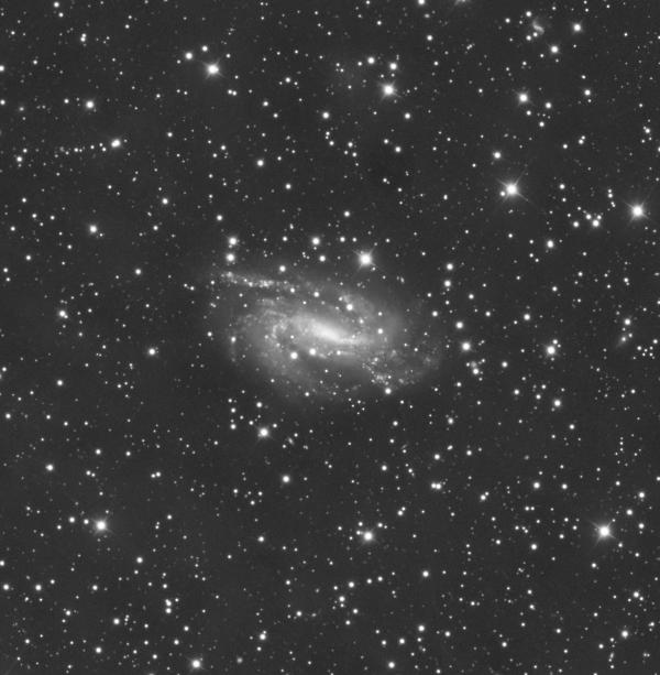 NGC 925 - Astrophotography