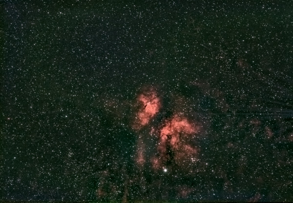 IC 1318 