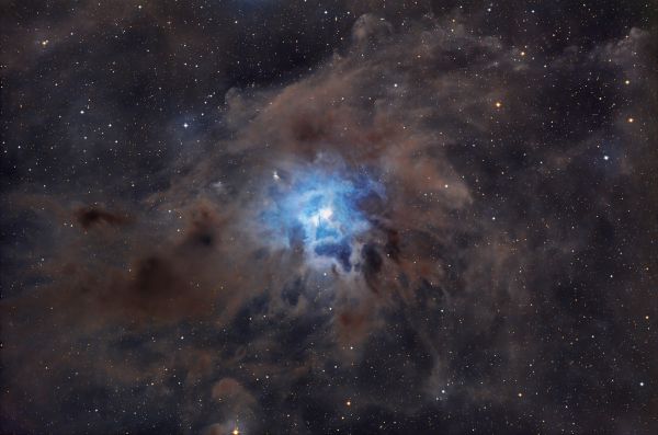 Iris NGC 7023 (intermediate result). - Astrophotography