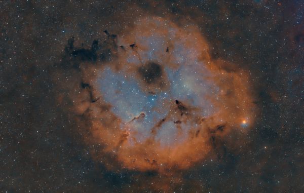 IC1396 HOO. New rig first light - астрофотография