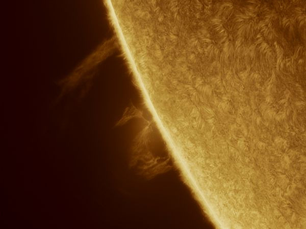 Prominence 19_05_2026 - Astrophotography