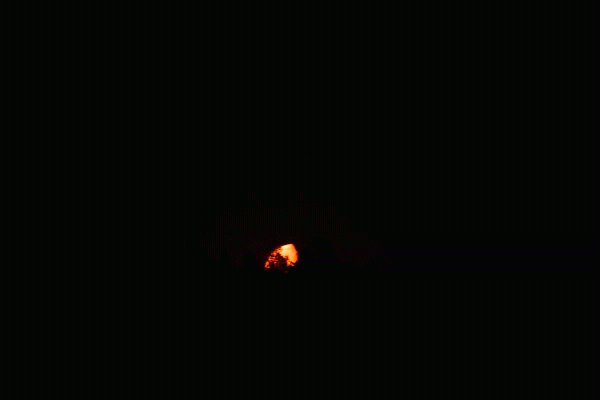 Gif Восход Луны над лесом, Ф=+56%, 07.08.23 - астрофотография