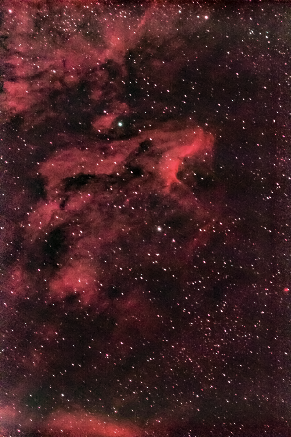 Эмиссионная туманность Пеликан в созвездии Лебедя. 25-26.05.2024 - астрофотография