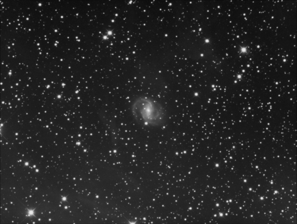 NGC 6951 - астрофотография