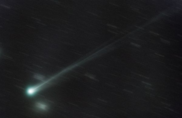 C/2025 A6 (Lemmon) - Astrophotography