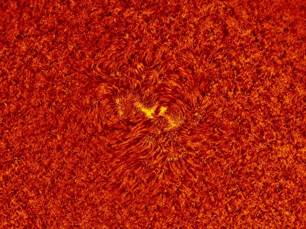 2018.05.13 Sun AR12709 H-Alpha animation - астрофотография