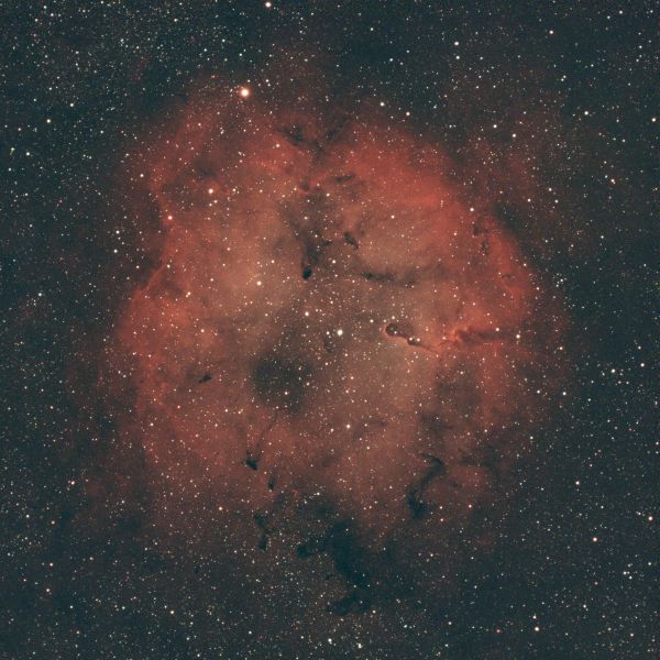 IC1396 Nebula - Astrophotography