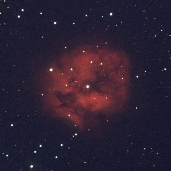 C19. Cocoon. - Astrophotography