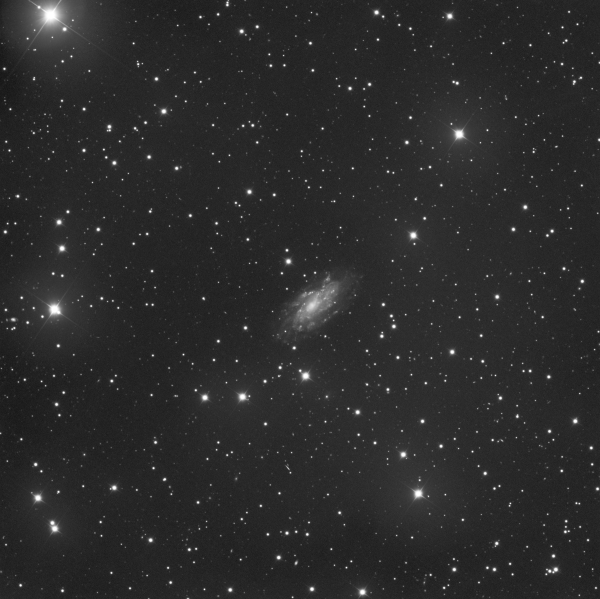 NGC 2336 - Astrophotography