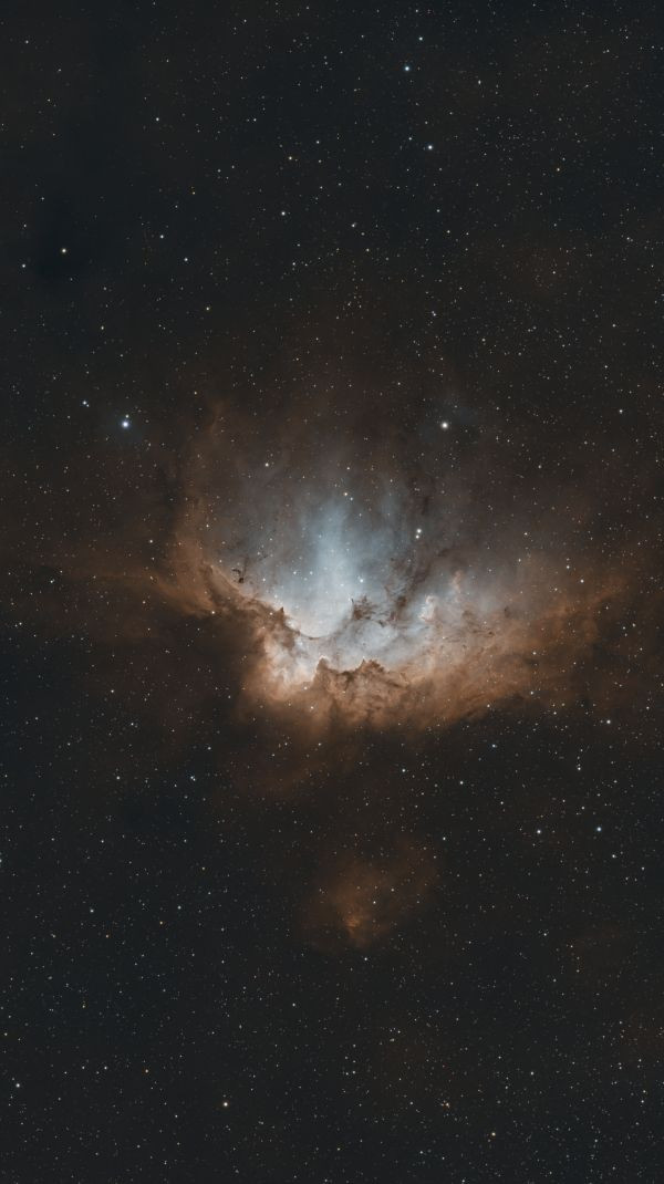 Wizard Nebula - Astrophotography