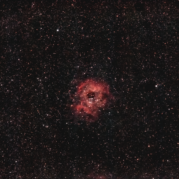 Туманность Розетка (NGC 2237) от 07-08.01.2024 - астрофотография