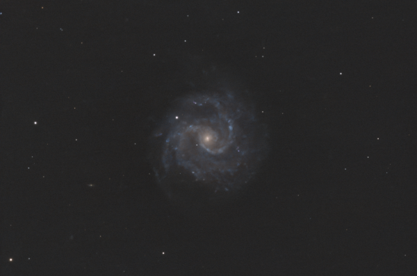 NGC 3184 - Astrophotography