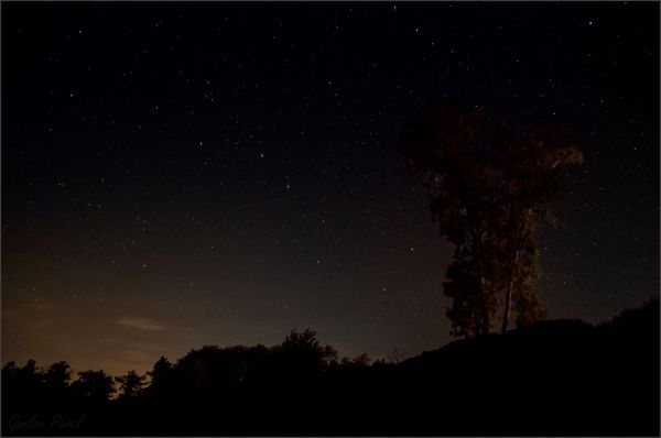 Созвездие Большой Медведицы над тёмным небом Абхазии - астрофотография