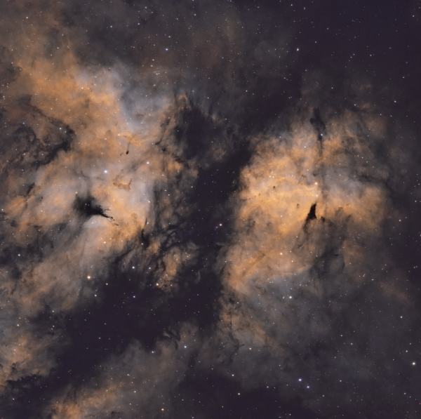 Gamma Cygni Nebula (Sadr Region) - астрофотография