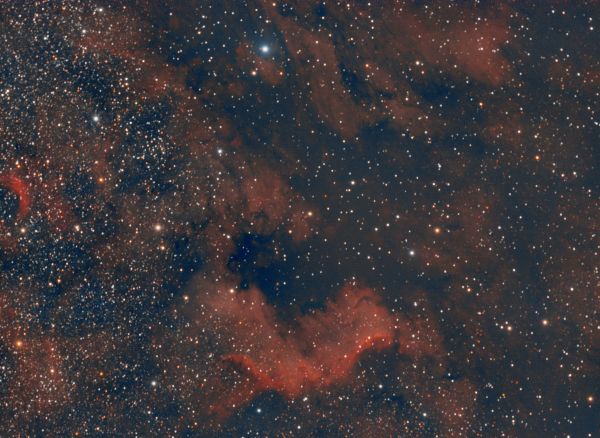 NGC7000 - астрофотография
