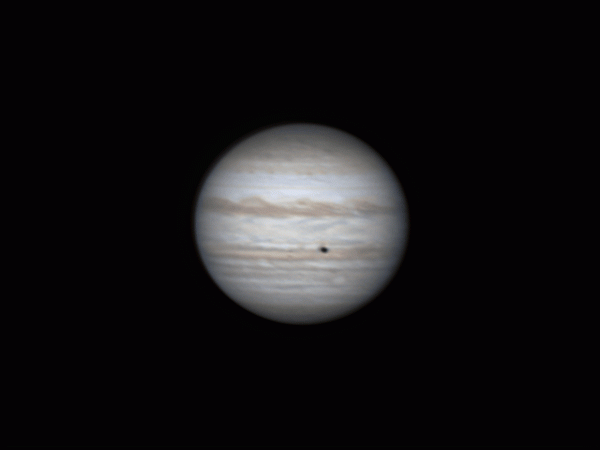 Таймлапс. Юпитер, Ио, тень Ио и Ганимед 10.09.2022 - астрофотография