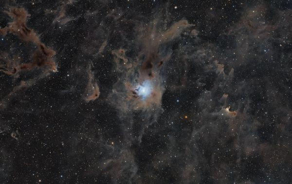 NGC 7023 Iris Nebula - Astrophotography